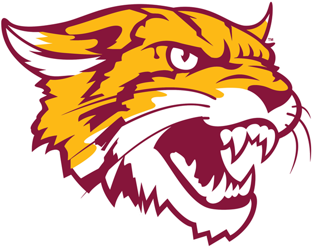 Bethune-Cookman Wildcats 2016-Pres Alternate Logo diy DTF decal sticker